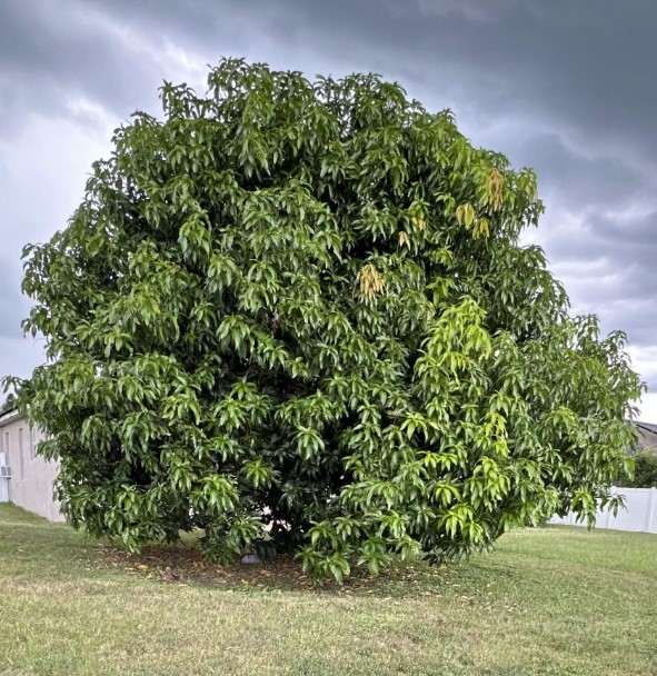 Screenshot 2025 12 28 205918 2