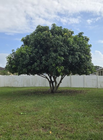 Screenshot 2025 12 28 205930 2