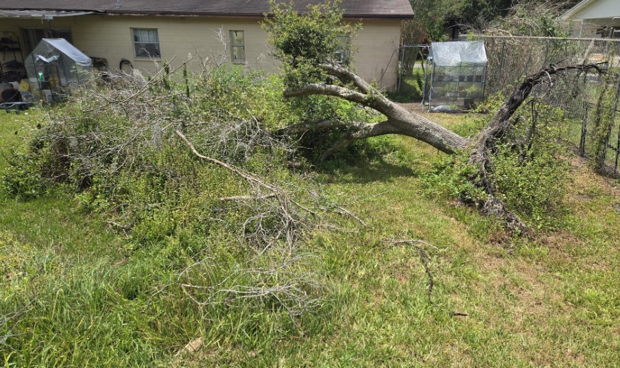 Screenshot 2025 12 28 210921 2