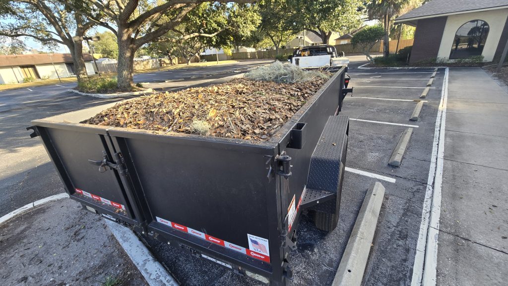 Home 20251228 154827