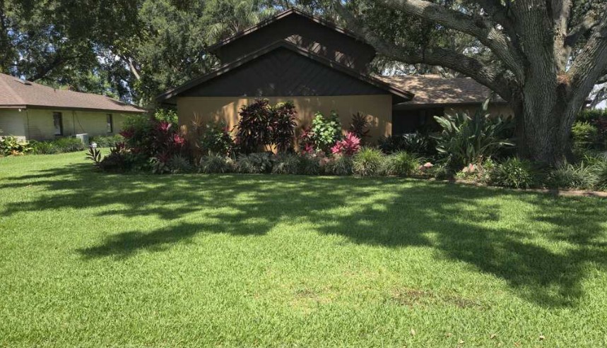 Home screenshot 2025 12 28 205433